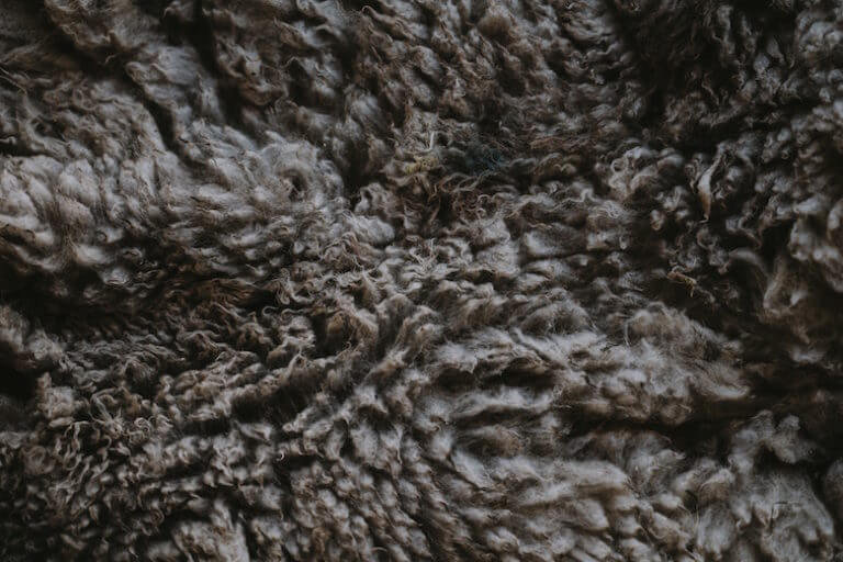 What's the Difference Between Types of Wool? - Woolme News